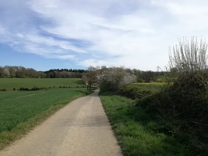 Les Lacs de l'eau d'Heure, Froidchapelle (België)